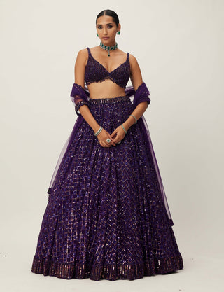 Royalty Purple Crystal Embroidered Lehenga Set by Vvani By Vani Vats available on Indiaspopup.com