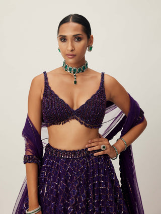 Royalty Purple Crystal Embroidered Lehenga Set by Vvani By Vani Vats available on Indiaspopup.com