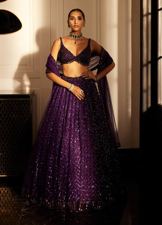 Royalty Purple Crystal Embroidered Lehenga Set by Vvani By Vani Vats available on Indiaspopup.com