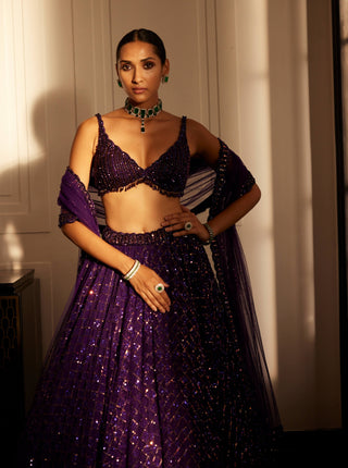 Royalty Purple Crystal Embroidered Lehenga Set by Vvani By Vani Vats available on Indiaspopup.com