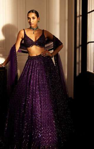 Royalty Purple Crystal Embroidered Lehenga Set by Vvani By Vani Vats available on Indiaspopup.com