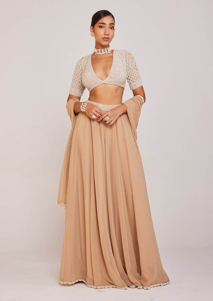 Vvani by Vani Vats  Beige Pearl Embellished Lehenga