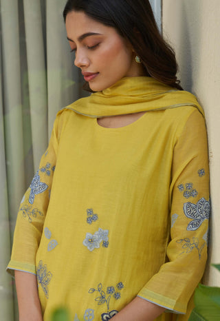 Daffodil applique embroidered kurta set