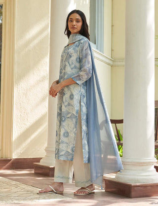 Powder blue printed kurta set