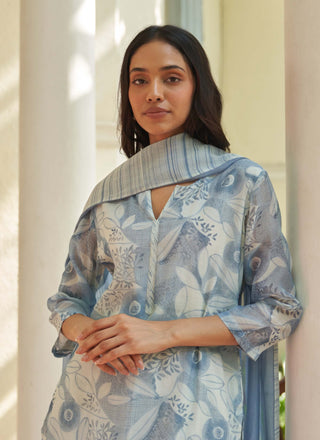Powder blue printed kurta set