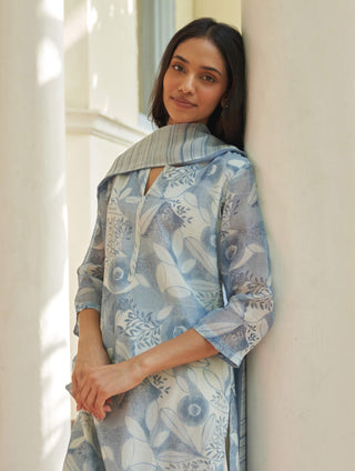 Powder blue printed kurta set