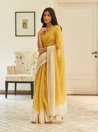 Rue ombre sari and blouse