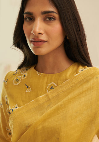 Rue ombre sari and blouse