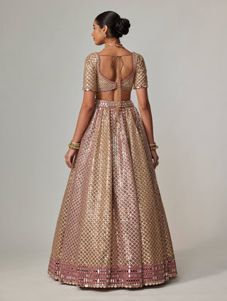 Deep beige metallic lehenga set