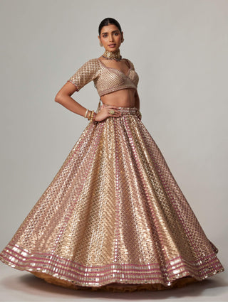 Deep beige metallic lehenga set