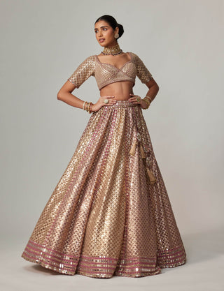 Deep beige metallic lehenga set