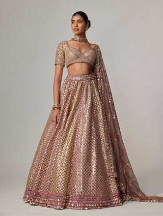 Deep beige metallic lehenga set