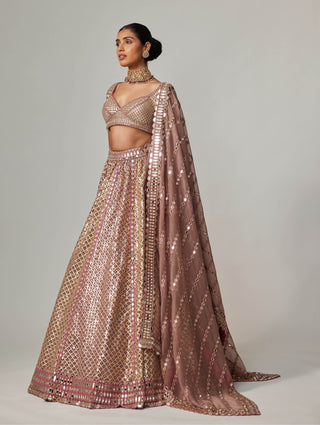 Deep beige metallic lehenga set