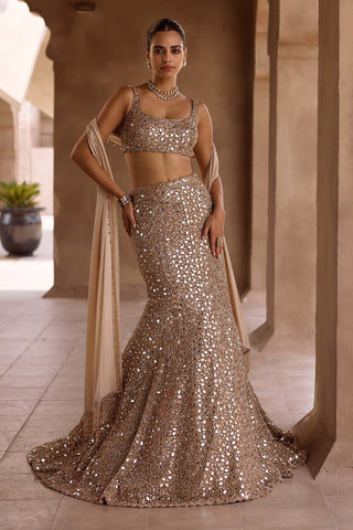 Light beige fishcut lehenga set