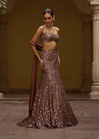Deep beige fishcut lehenga set