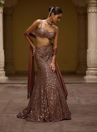 Deep beige fishcut lehenga set