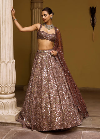 Deep beige mirror embroidered lehenga set