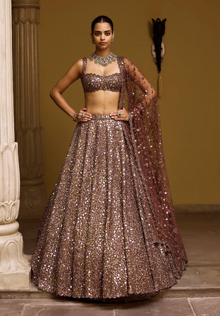 Deep beige mirror embroidered lehenga set