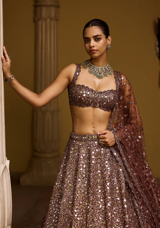 Deep beige mirror embroidered lehenga set