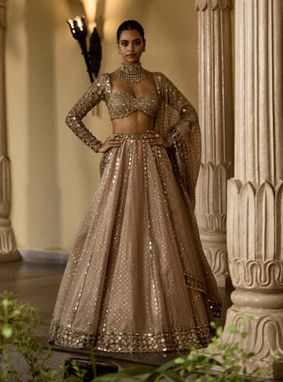 Deep beige sequin embroidered lehenga set
