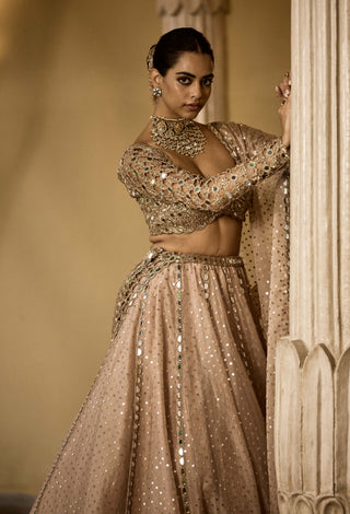 Deep beige sequin embroidered lehenga set