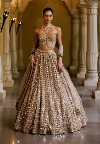 Light beige diamond mirror cutwork lehenga corset set