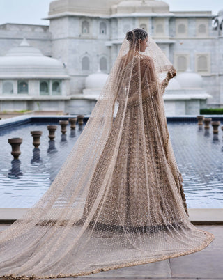 Light beige diamond mirror cutwork lehenga set