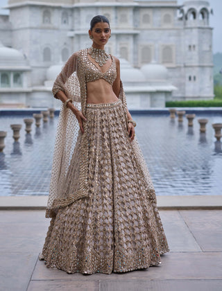 Light beige diamond mirror cutwork lehenga set