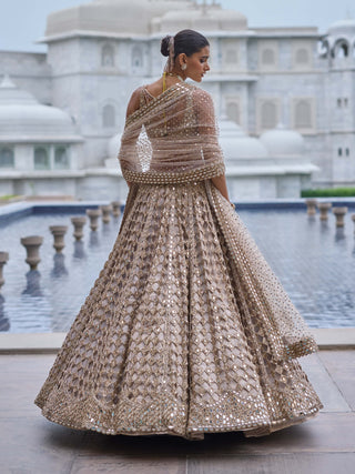 Light beige diamond mirror cutwork lehenga set