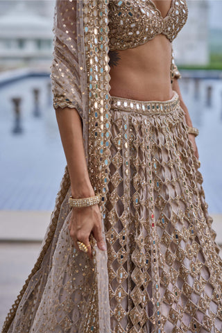 Light beige diamond mirror cutwork lehenga set