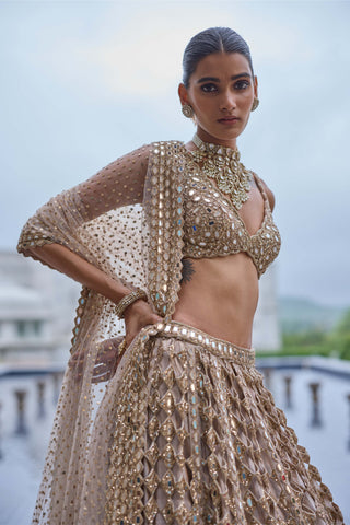 Light beige diamond mirror cutwork lehenga set