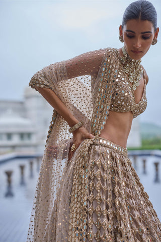 Light beige diamond mirror cutwork lehenga set