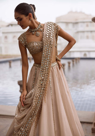 Light beige linear mirror lehenga set