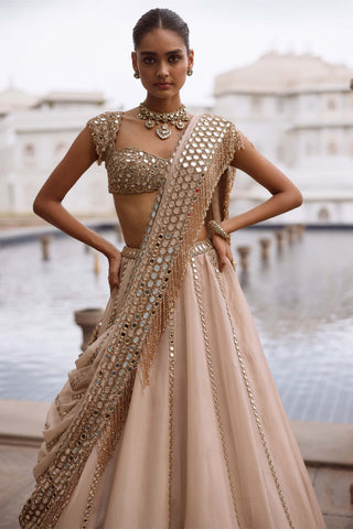 Light beige linear mirror lehenga set