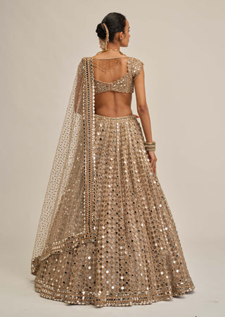 Light beige big mirror cutwork lehenga set