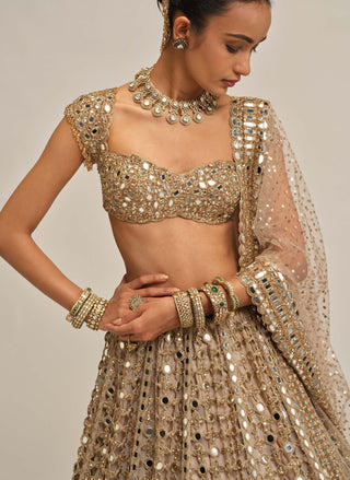 Light beige big mirror cutwork lehenga set