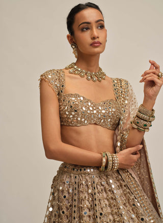 Light beige big mirror cutwork lehenga set