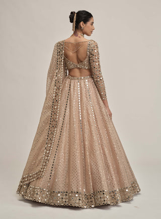 Light beige sequin full-sleeve lehenga set