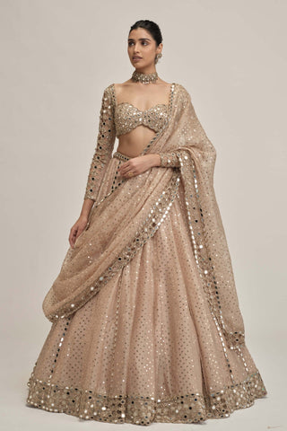 Light beige sequin full-sleeve lehenga set