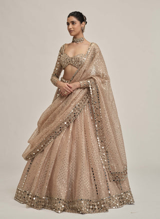 Light beige sequin full-sleeve lehenga set