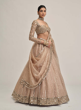 Light beige sequin full-sleeve lehenga set