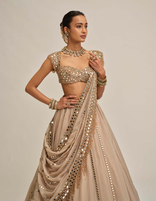 Light beige linear mirror lehenga set