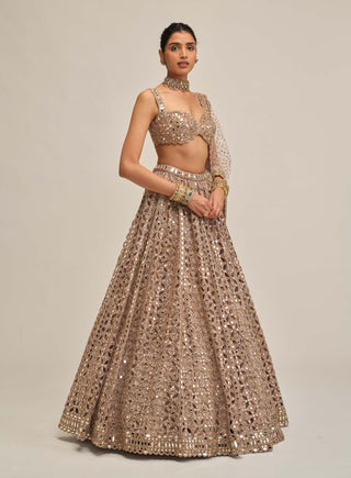 Ash pink circular cutwork lehenga set
