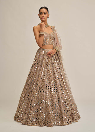 Ash pink dense mirror cutwork lehenga corset set