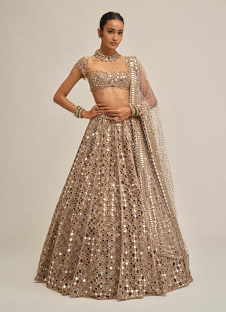 Ash pink dense mirror cutwork lehenga set