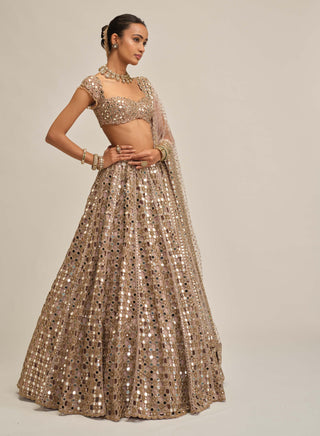 Ash pink dense mirror cutwork lehenga set