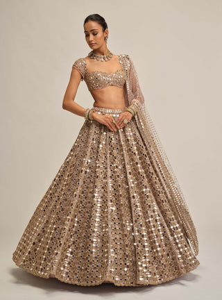 Ash pink dense mirror cutwork lehenga set