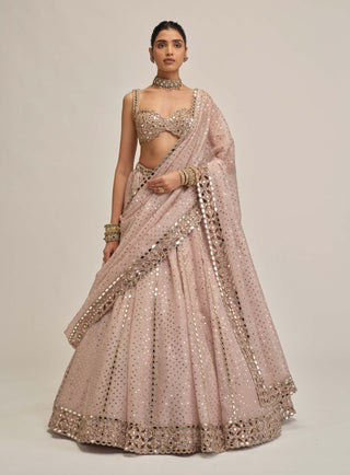 Ash pink linear mirror sequin lehenga set
