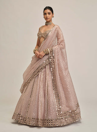 Ash pink linear mirror sequin lehenga set