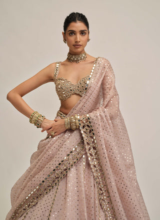 Ash pink linear mirror sequin lehenga set